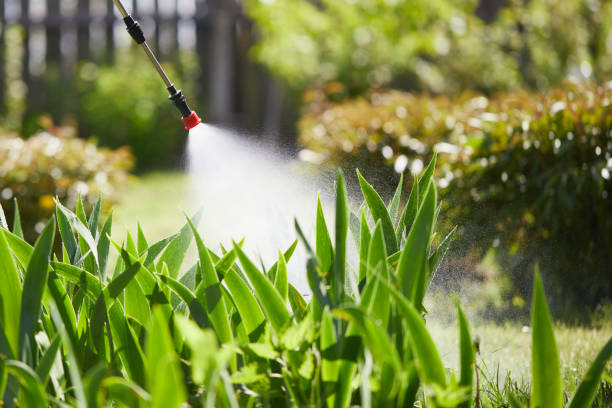 24/7 Emergency Mosquito Control experts in Spicer, MN