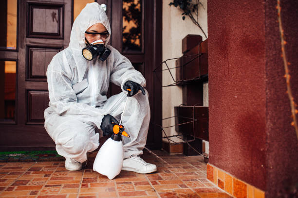 Reliable Mosquito Control contractor in Spicer, MN by Show Me Pest Control